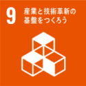 SDG 9